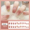 Dy682 tulip gradient