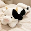 vaca
