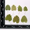 MH715 Xiazhicao Natural green