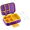 5 Compartment purple boxes