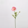 puPetit Yu Meiren (rose)