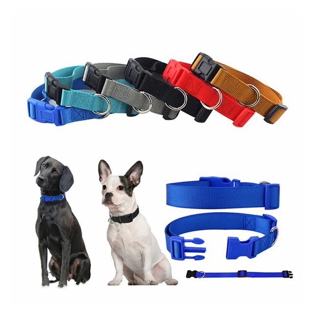 Amaz Best Seller Plain Nylon Dog Pet Collar for Dog