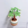 Green schefflera