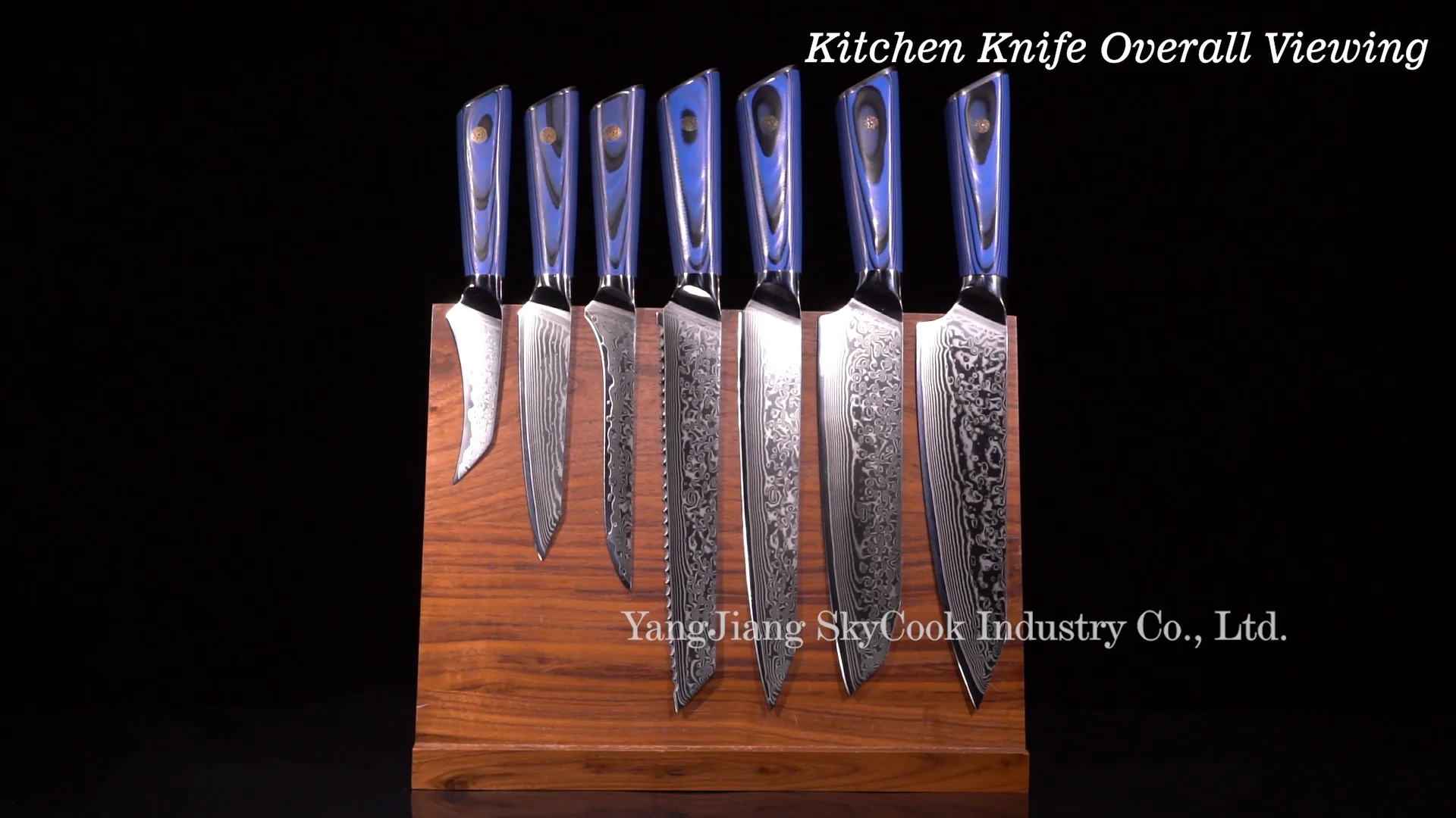 Blue G10 Mosaic Rivet Handle Luxury Super Sharp High Carbon Vg10 67
