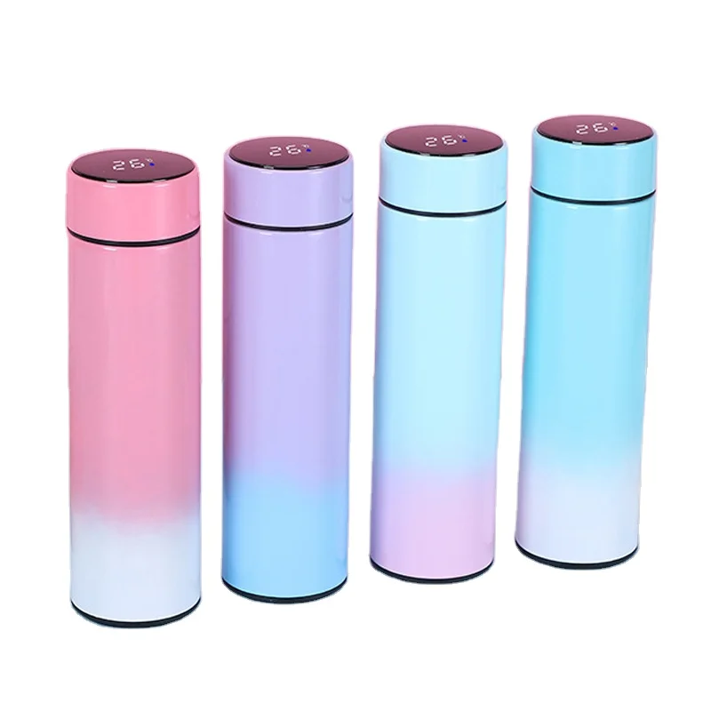 Vacuum Flask LED Temperature Display with Double Wall Insulated Water  Bottle.