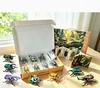 [Set 3] Electroplated Insect Gift Box (Includes Insect Science Cards)