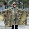 Camuflaje de la hoja de arce