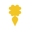 Flor de rábano