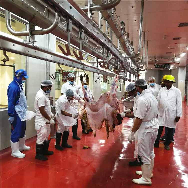Sheep slaughtering line halal goat slaughtering factory