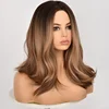 Balayage Ombre Castano Cenere