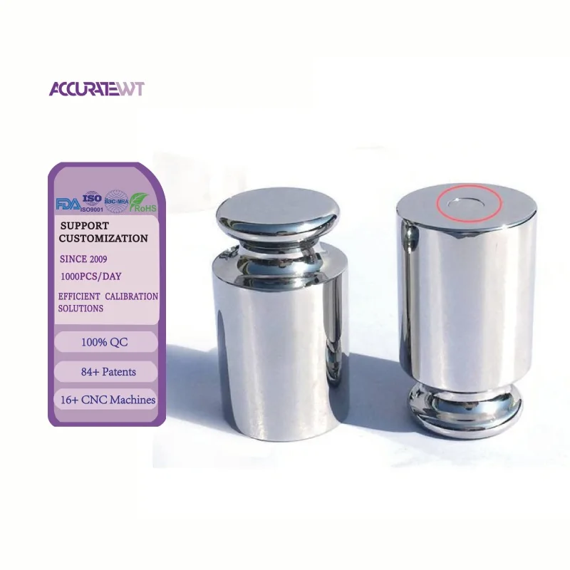 Scale Calibration Weight F1 Class 100g test Weight Masas patron