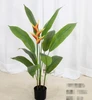 green Bird of paradise (split version)
