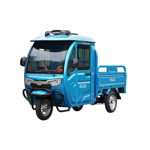 800W/48V/3060*1080*1680 Adults Electric Cargo Tricycles For Passengers Other Electric Enclosed Tricycles