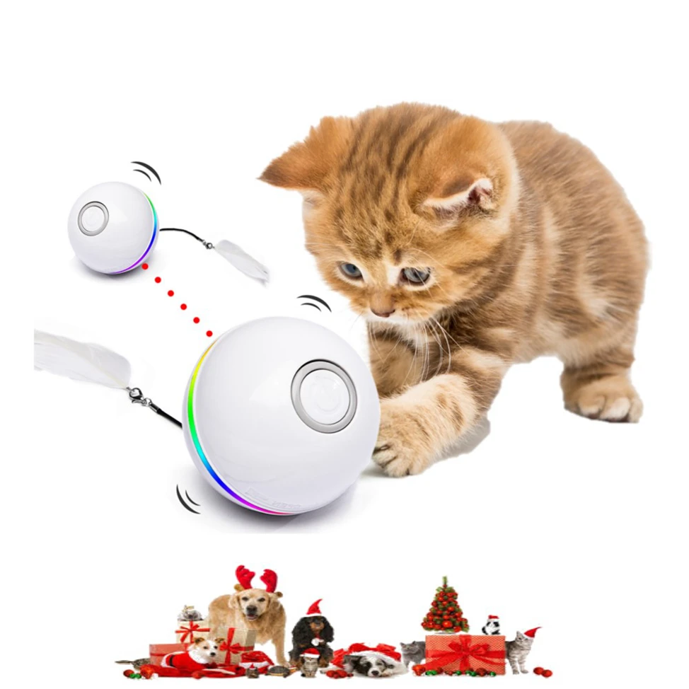 Amazon Vente Chaude A La Main Jouet Pour Chat Boules Cataire Interactif Chien Chats Boule Jouets Gratter Carton Interactif En Plastique Buy Amazon Vente Chaude A La Main Chat Jouet Boules Cataire Amazon