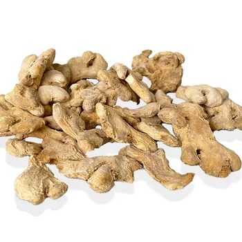 China Exports High Quality Wholesale Stem Ginger Shot Of Ginger Benefits Warm Stomach And Dispel Cold Recipe For Ginger Tea