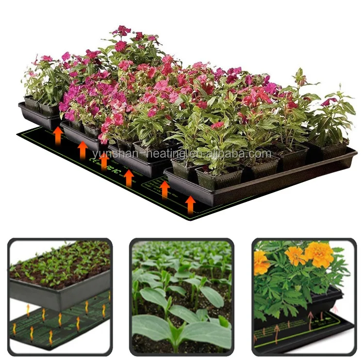 种植毛毡垫微型蔬菜 小麦草 豆芽水培生长加热垫花园等支持全季节 Buy 种植加热垫 加热花坛垫 种植热席子product On Alibaba Com