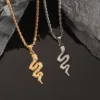 Colgante de Serpiente con Cadena de Cuerda