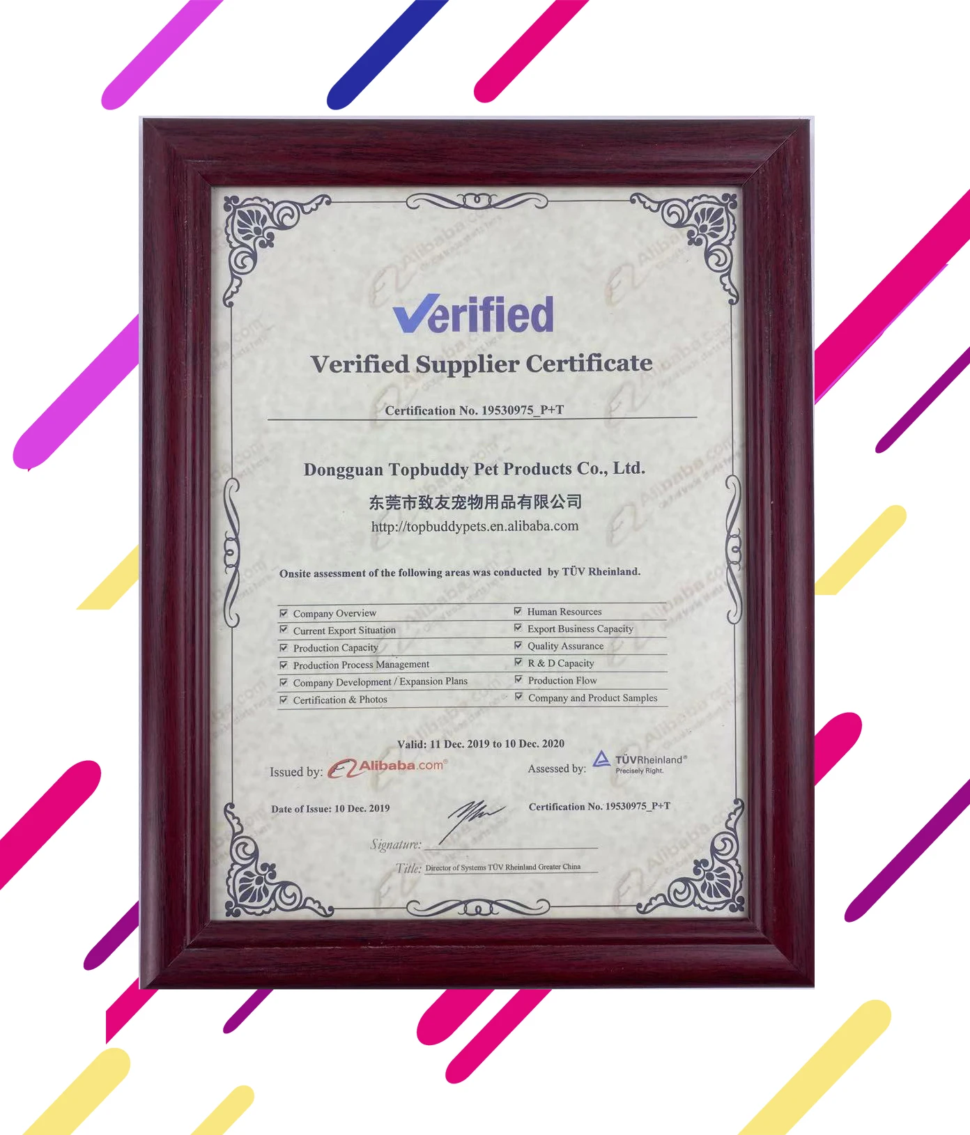 Topbuddy Custom Logo Easy Walk No Pull Adjustable Safety Chest Pet Dog