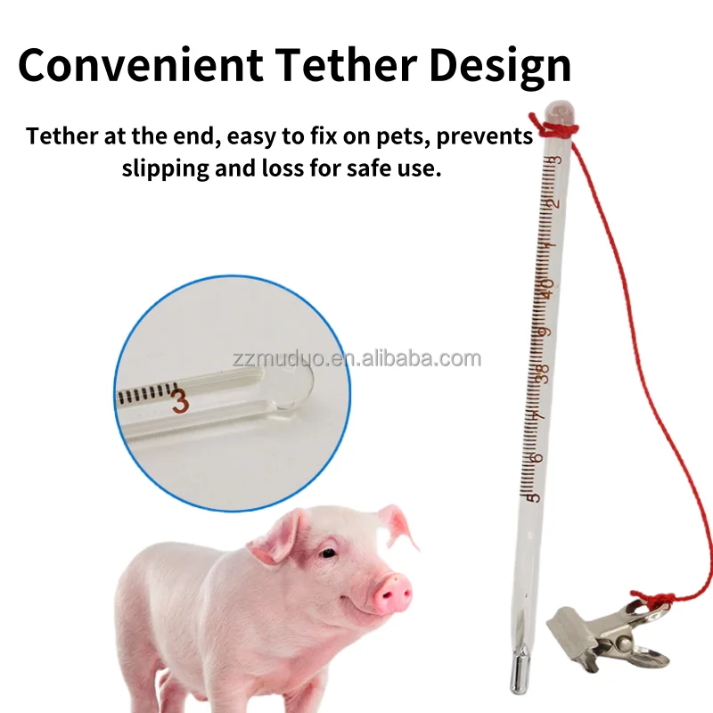 Veterinary Mercury In-Glass Thermometer with Clear Scale Mercury Thermometer for Pig Sheep Dog Cow