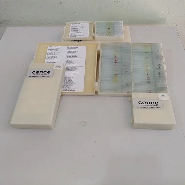 Microscope Slides Of Pathology Prepared Slides Microscope Teaching