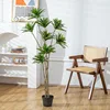 Bambou lys à 8 têtes de petite taille-145 cm