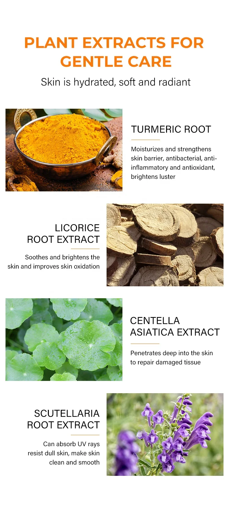 Private Label Dark Spots Eraser Turmeric Toner Brightening Fades