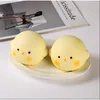 pollito