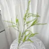 Salice argentato - 95 cm