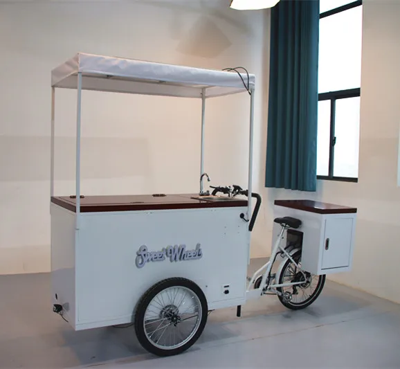 Ice Cream Bike With Coolbox 258l Freezer For Selling Popsicle Ice Cream ...