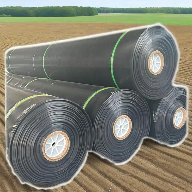 Factory 1mm 1.5mm HDPE 40 MILs Geomembrane