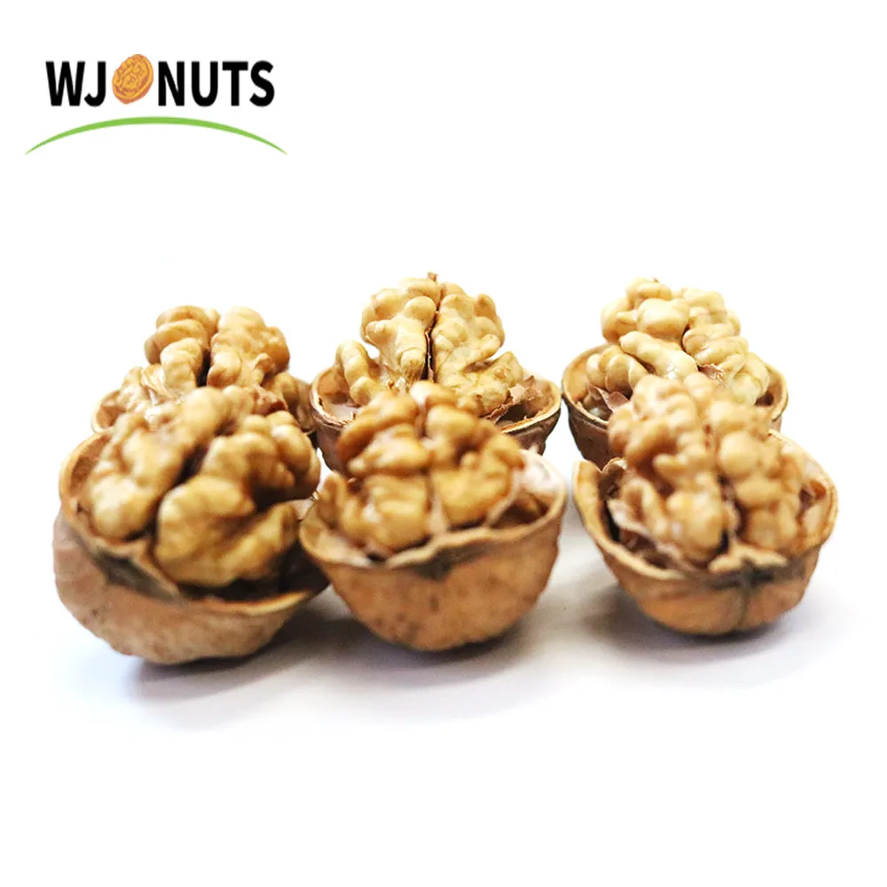
Factory supply lowest price plant walnut inshell xinjiang unwashed paper 185 walnut 
