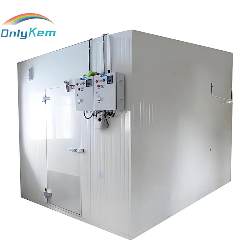 Blast Freezer, 25°C, AC 220V~240V, R-404A - detail 2