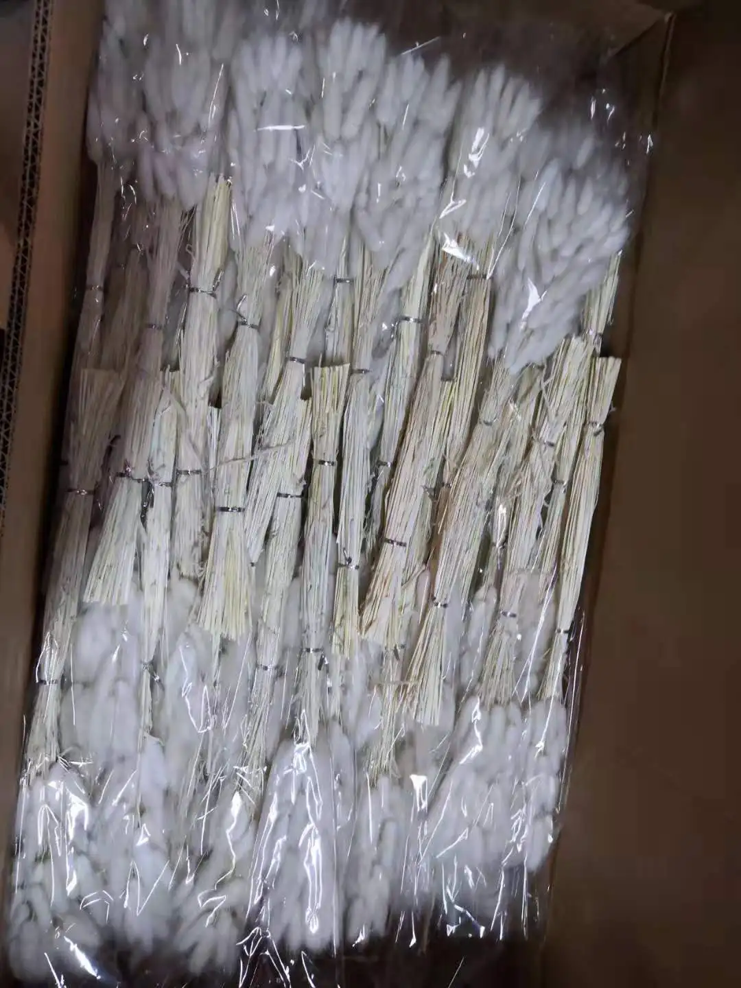 Rabbit Tail Dried Pampas Grass Dry Flowers Natural Real Grass White