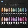 High-Chroma Aurora Cat Eye Gel Polish -HTHT