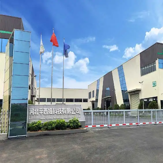 Company Overview - Hebei Cynthia Technology Co., Ltd.