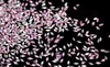Crystal pink rhomboid--1.5*3mm