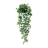 Datura - with pot