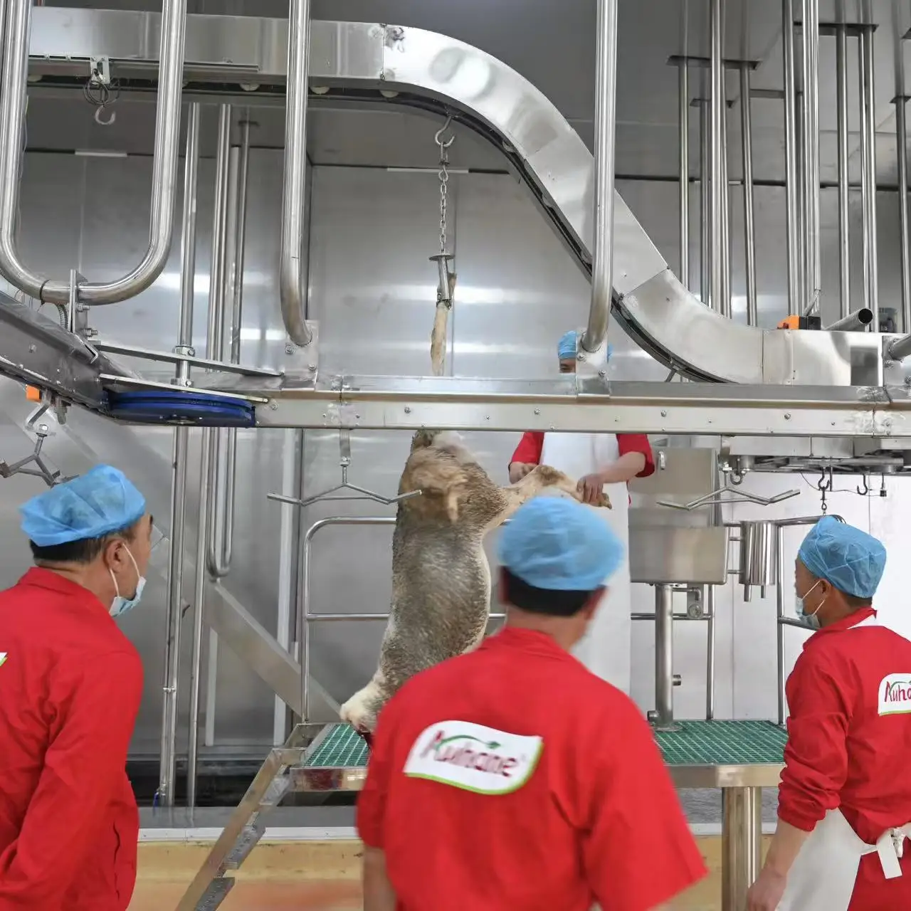 Complete sheep and goat slaughtering line equipment - efficient processing systems for meat factories and modern slaughterhouses