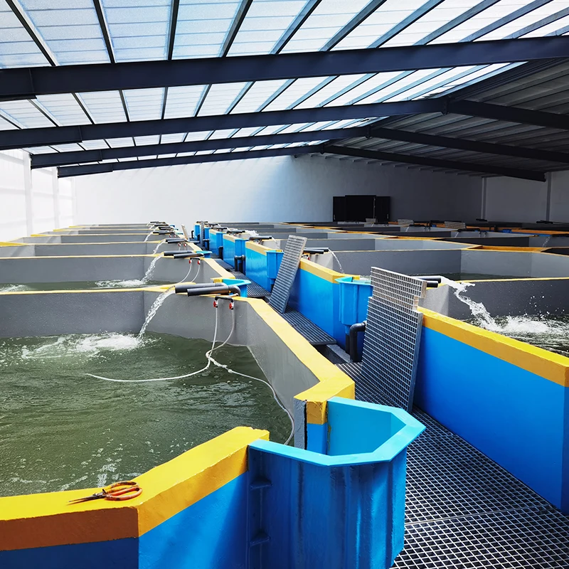 Innendørs fiskeoppdrettsutstyr resirkulerende akvakultursystem