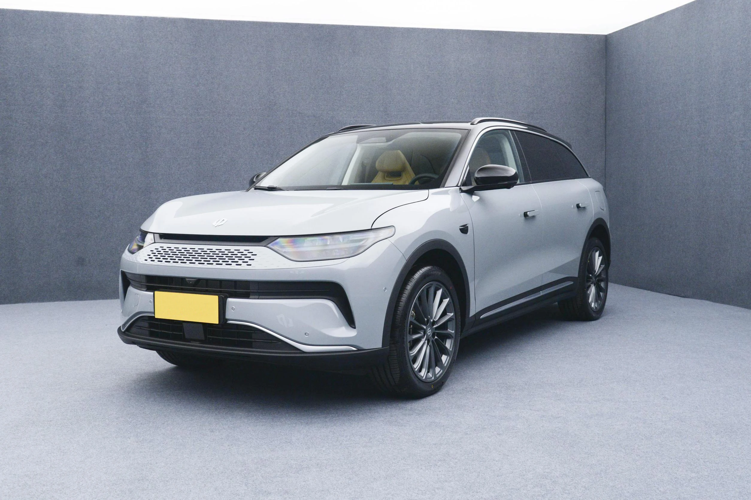 Leapmotor C11 SUV EV supplier