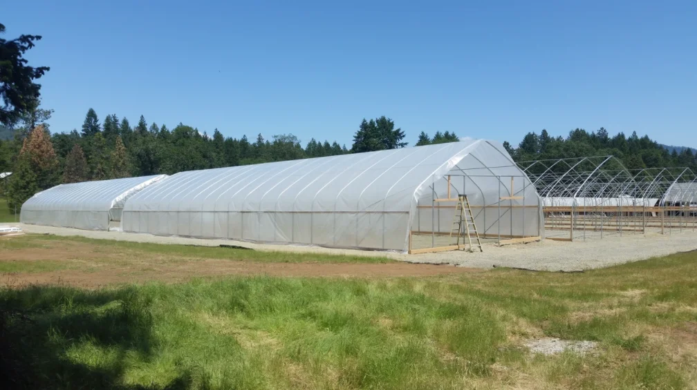 greenhouse.png