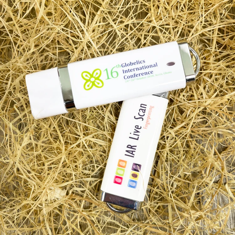 Bulk Cheap Business Gift Plastic USB Flash Drive 1GB 2GB 4GB 8GB 16GB 2.0 USB Stick Pen Drive with Custom Logo - ANKUX.COM