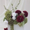 14#60cm Burgundy Ball