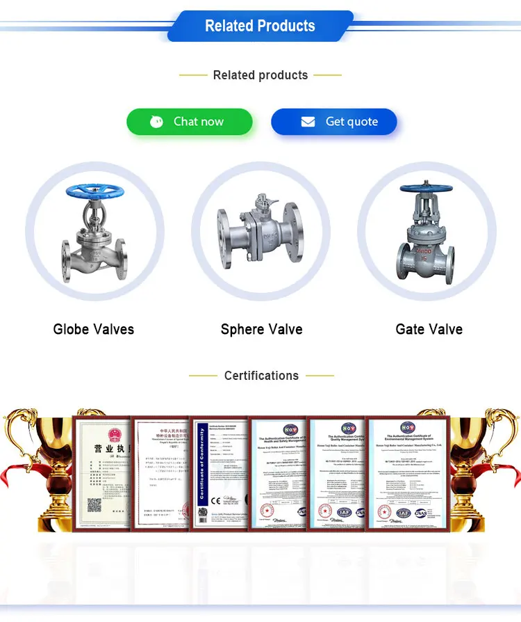 2 Way seal Cast Iron With Resilient 2 1/2 150 Wcb F888 Globe Valve
