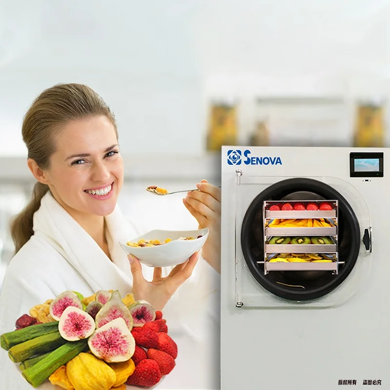 6-8kg Vacuum Freeze Drying Dried Machines Fruit Food Mini