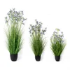 Pianta in vaso con fiori profumati - viola
