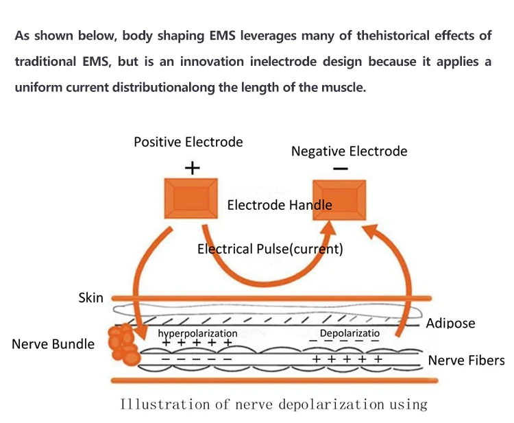 EMS Cryoliposis Body Slimming Muscle Stimulation Weight Loss Machine EMS Body Sculpting Machine For Salon