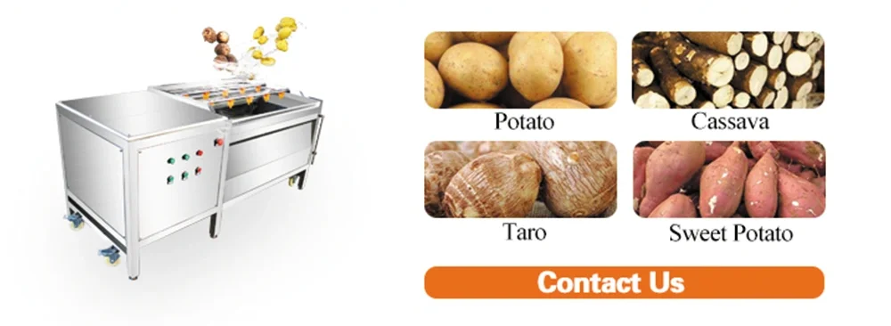 Vegetable/Fruit/Lemon/Apple/Orange/Potato/Carrot Washing/Cleaning Machine for Factory Food Processing Line