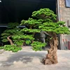 3#(Acial accogliente pino treertif deposito)