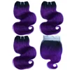 T1B-Purple